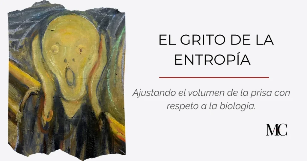 El grito de la entropía y el ruido sistémico